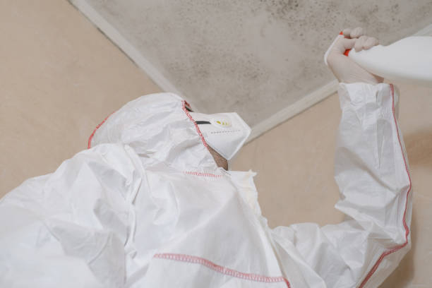 Best Commercial Mold Remediation in Newton, IA